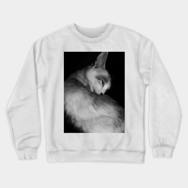 A licking cat in black and white Crewneck Sweatshirt by DisaLoka